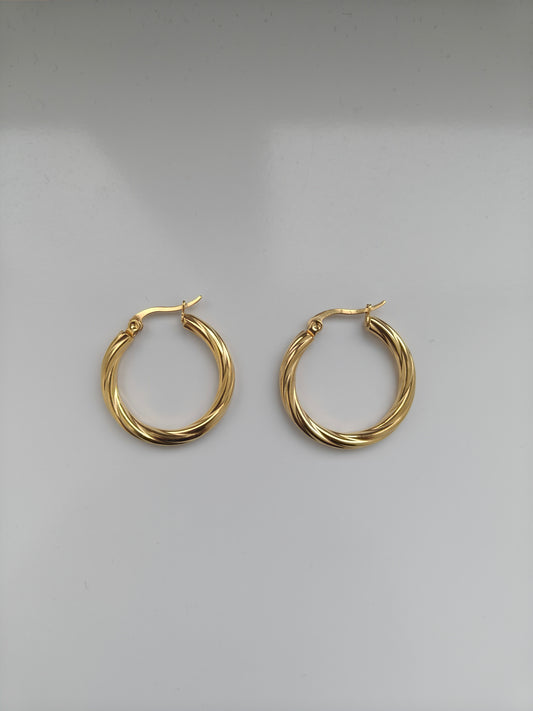 Golden Circle Oorbellen