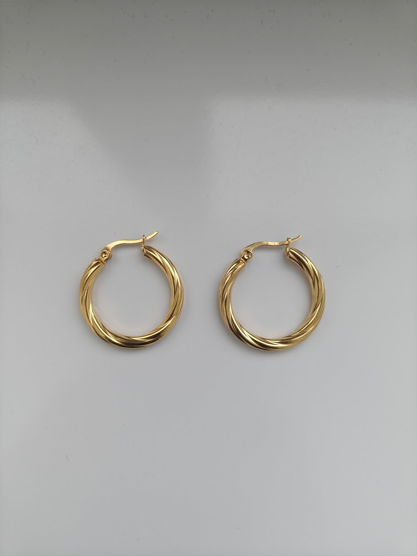 Golden Circle Oorbellen