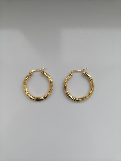 Golden Circle Oorbellen